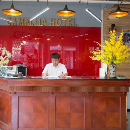 Camellia 4 Hotel ハノイ市 エクステリア 写真