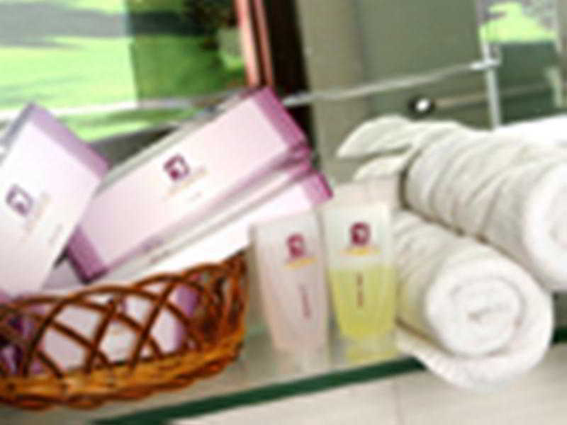 Camellia 4 Hotel ハノイ市 エクステリア 写真